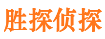 麦盖提市私家侦探